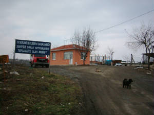 dsci0095.jpg